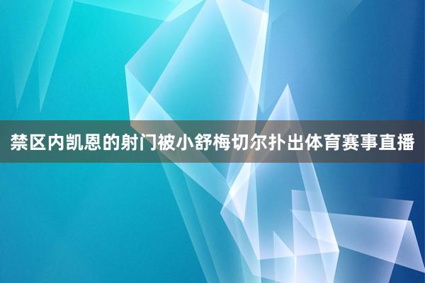 禁区内凯恩的射门被小舒梅切尔扑出体育赛事直播