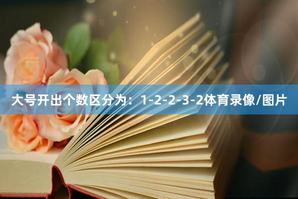 大号开出个数区分为：1-2-2-3-2体育录像/图片