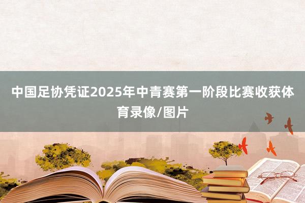 中国足协凭证2025年中青赛第一阶段比赛收获体育录像/图片