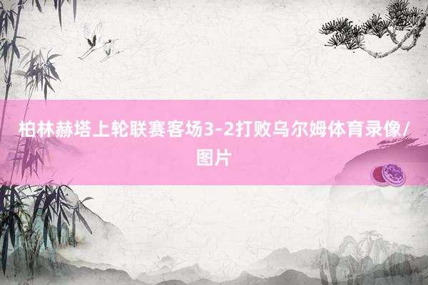 柏林赫塔上轮联赛客场3-2打败乌尔姆体育录像/图片