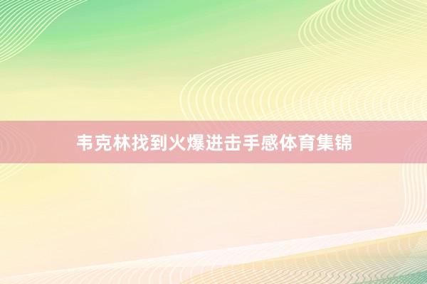 韦克林找到火爆进击手感体育集锦