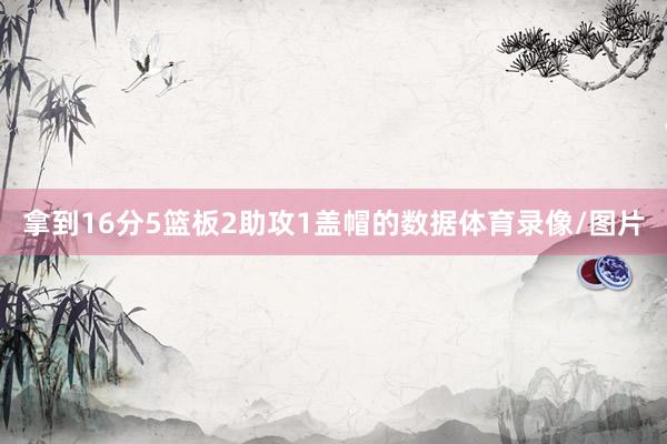 拿到16分5篮板2助攻1盖帽的数据体育录像/图片
