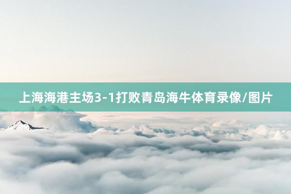 上海海港主场3-1打败青岛海牛体育录像/图片