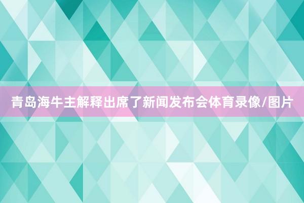 青岛海牛主解释出席了新闻发布会体育录像/图片