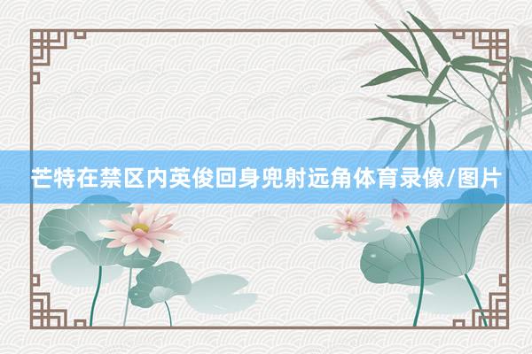 芒特在禁区内英俊回身兜射远角体育录像/图片