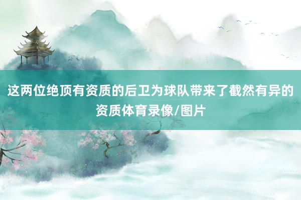 这两位绝顶有资质的后卫为球队带来了截然有异的资质体育录像/图片