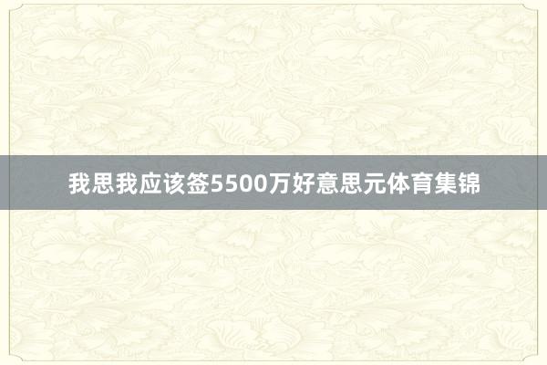 我思我应该签5500万好意思元体育集锦