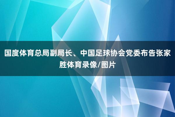 国度体育总局副局长、中国足球协会党委布告张家胜体育录像/图片