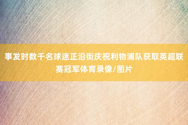 事发时数千名球迷正沿街庆祝利物浦队获取英超联赛冠军体育录像/图片