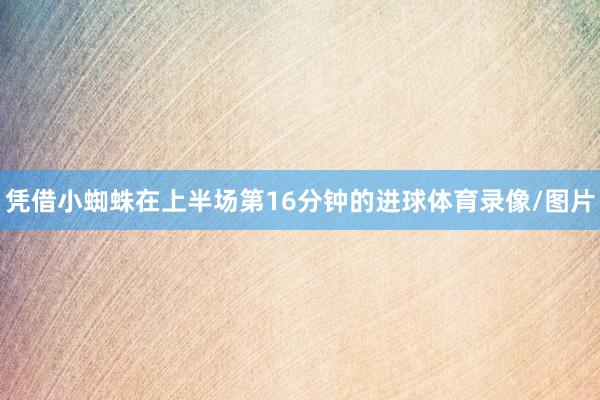 凭借小蜘蛛在上半场第16分钟的进球体育录像/图片