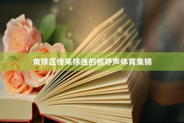 角球区传来球迷的惊呼声体育集锦