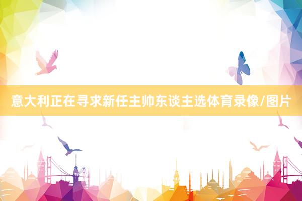 意大利正在寻求新任主帅东谈主选体育录像/图片