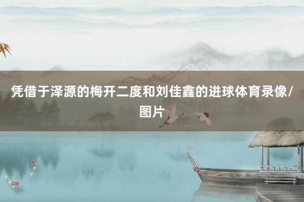 凭借于泽源的梅开二度和刘佳鑫的进球体育录像/图片