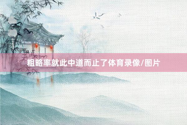 粗略率就此中道而止了体育录像/图片