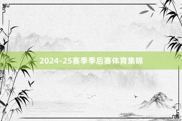 2024-25赛季季后赛体育集锦