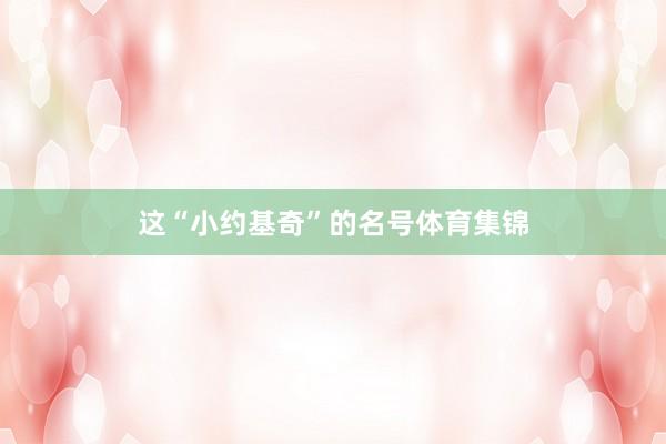 这“小约基奇”的名号体育集锦
