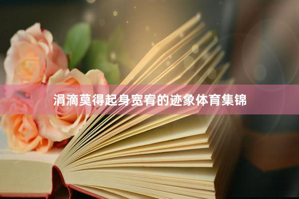 涓滴莫得起身宽宥的迹象体育集锦