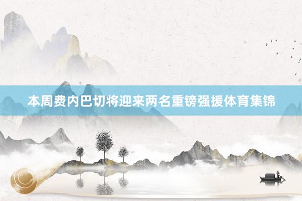 本周费内巴切将迎来两名重镑强援体育集锦