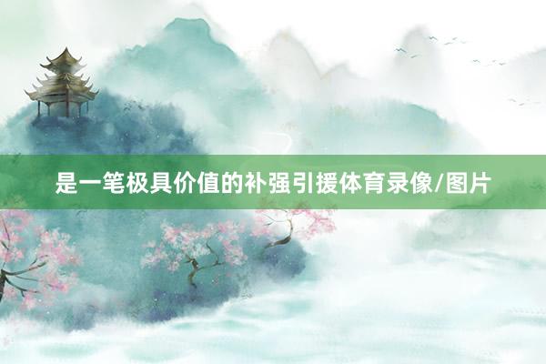 是一笔极具价值的补强引援体育录像/图片