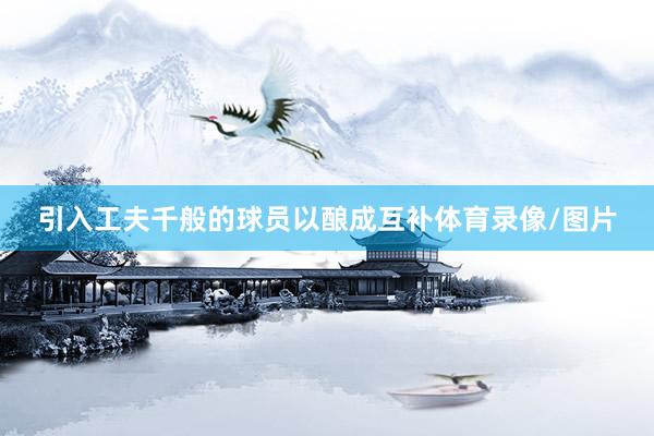 引入工夫千般的球员以酿成互补体育录像/图片
