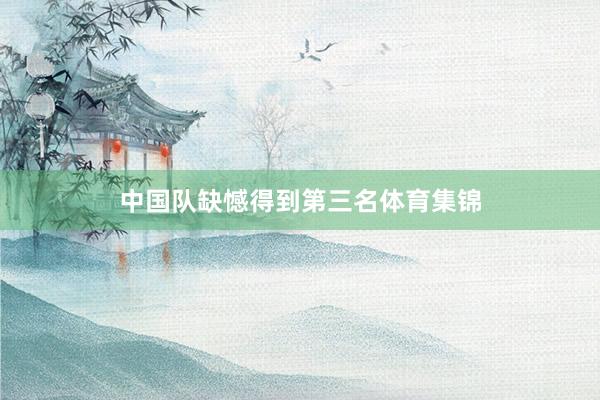 中国队缺憾得到第三名体育集锦