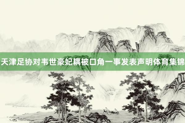 天津足协对韦世豪妃耦被口角一事发表声明体育集锦