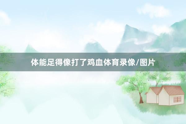 体能足得像打了鸡血体育录像/图片