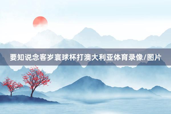 要知说念客岁寰球杯打澳大利亚体育录像/图片