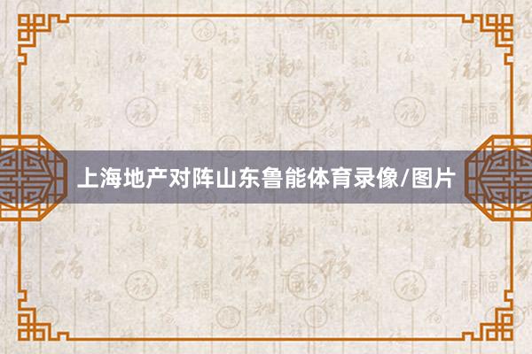上海地产对阵山东鲁能体育录像/图片