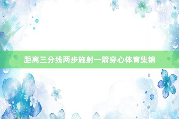 距离三分线两步施射一箭穿心体育集锦