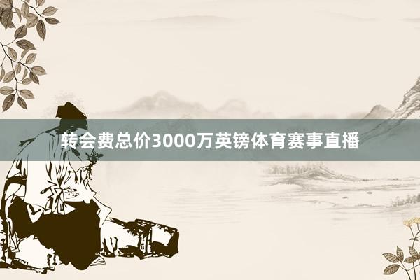 转会费总价3000万英镑体育赛事直播