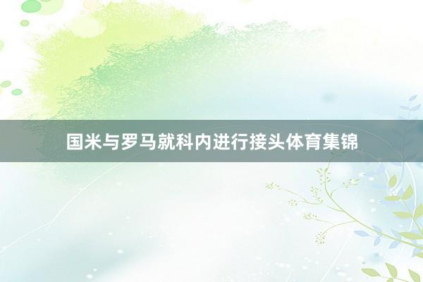 国米与罗马就科内进行接头体育集锦