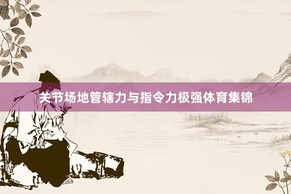 关节场地管辖力与指令力极强体育集锦