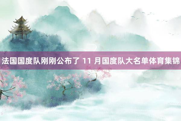 法国国度队刚刚公布了 11 月国度队大名单体育集锦