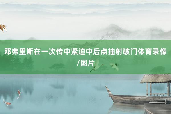 邓弗里斯在一次传中紧迫中后点抽射破门体育录像/图片