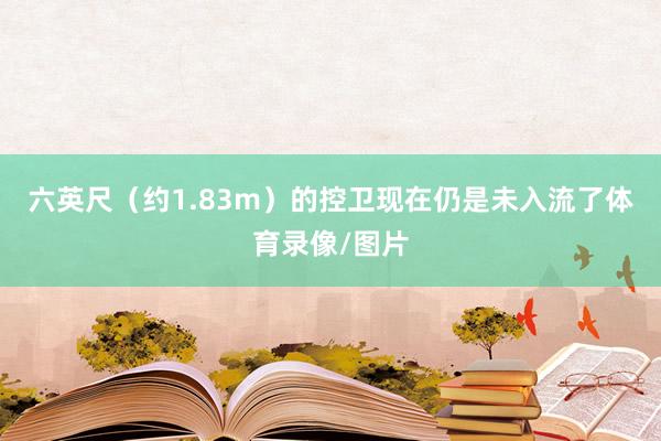 六英尺（约1.83m）的控卫现在仍是未入流了体育录像/图片