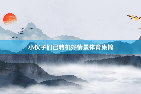小伙子们已转机好情景体育集锦