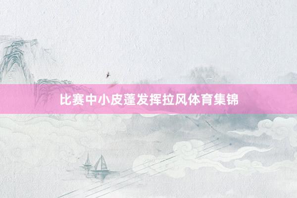 比赛中小皮蓬发挥拉风体育集锦