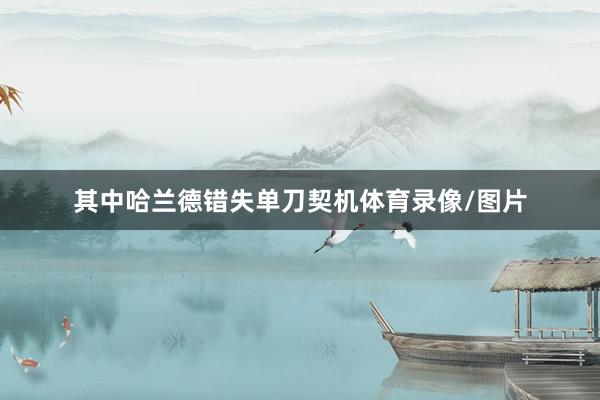 其中哈兰德错失单刀契机体育录像/图片