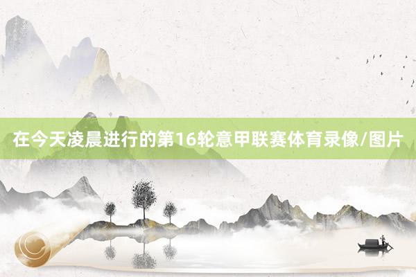 在今天凌晨进行的第16轮意甲联赛体育录像/图片