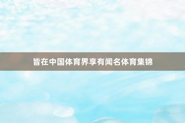 皆在中国体育界享有闻名体育集锦