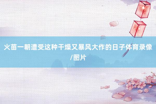 火苗一朝遭受这种干燥又暴风大作的日子体育录像/图片