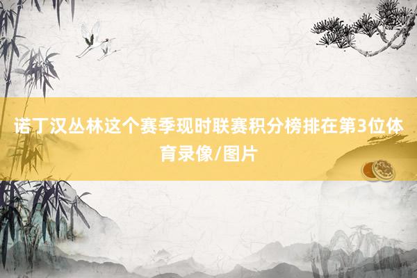 诺丁汉丛林这个赛季现时联赛积分榜排在第3位体育录像/图片