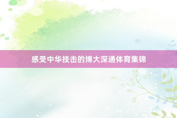 感受中华技击的博大深通体育集锦