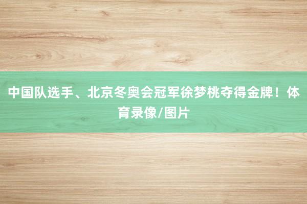 中国队选手、北京冬奥会冠军徐梦桃夺得金牌!体育录像/图片