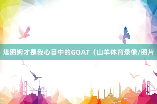 塔图姆才是我心目中的GOAT(山羊体育录像/图片