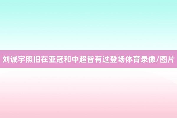 刘诚宇照旧在亚冠和中超皆有过登场体育录像/图片