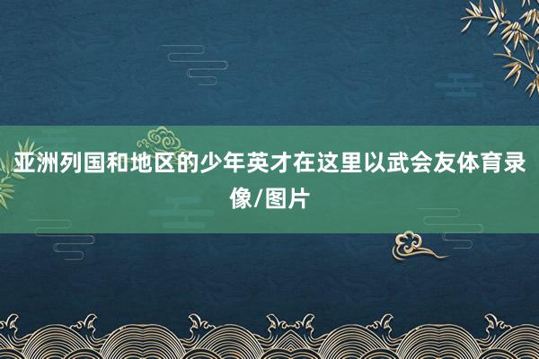 亚洲列国和地区的少年英才在这里以武会友体育录像/图片