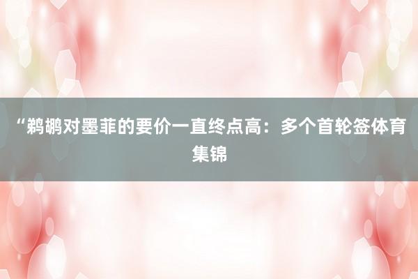 “鹈鹕对墨菲的要价一直终点高:多个首轮签体育集锦