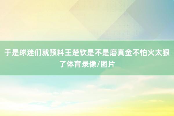 于是球迷们就预料王楚钦是不是磨真金不怕火太狠了体育录像/图片